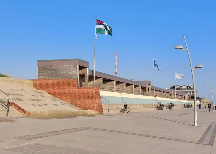 De Vischer un sin Fru Borkum